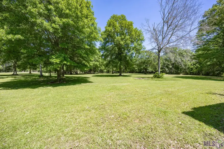 21560 Carew Harris Rd, Denham Springs, LA 70726 - #2