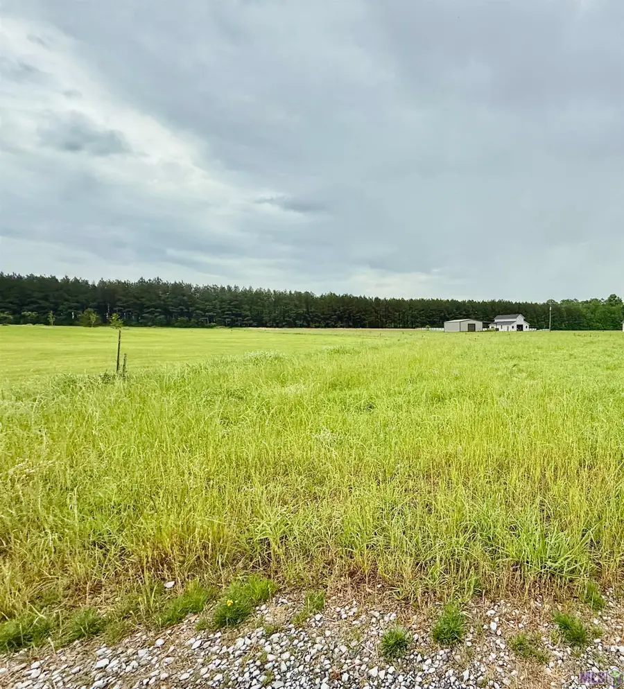10776 Paesano Point Rd, Saint Francisville, LA 70775 - #3