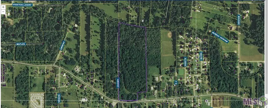 42302 Weber City Rd, Gonzales, LA 70737 - #3