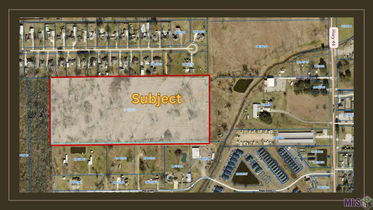 21.85 acres Bull Wevil Dr, Gonzales, LA 70737 - #1