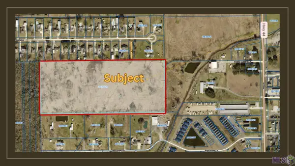 21.85 acres Bull Wevil Dr, Gonzales, LA 70737