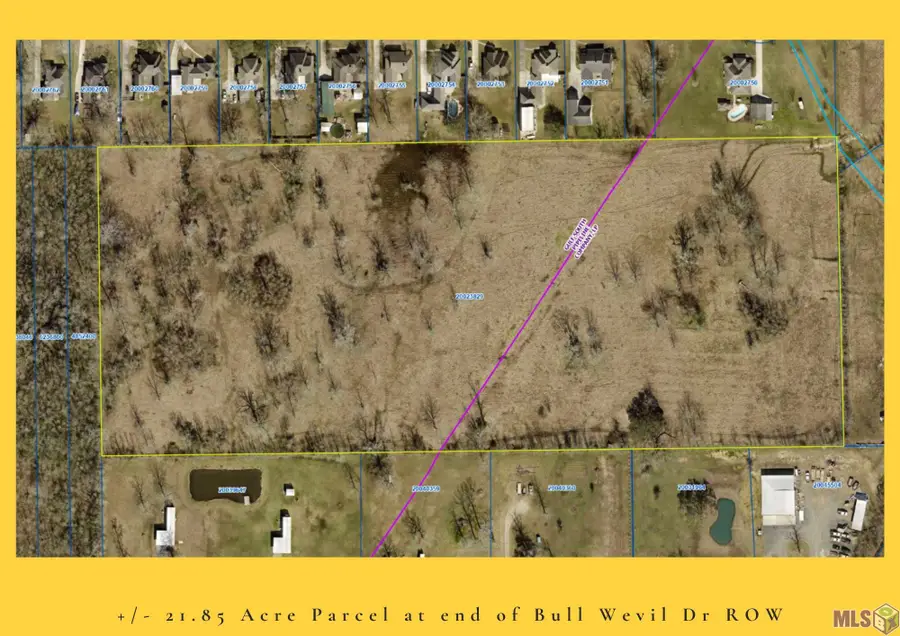 21.85 acres Bull Wevil Dr, Gonzales, LA 70737 - #2