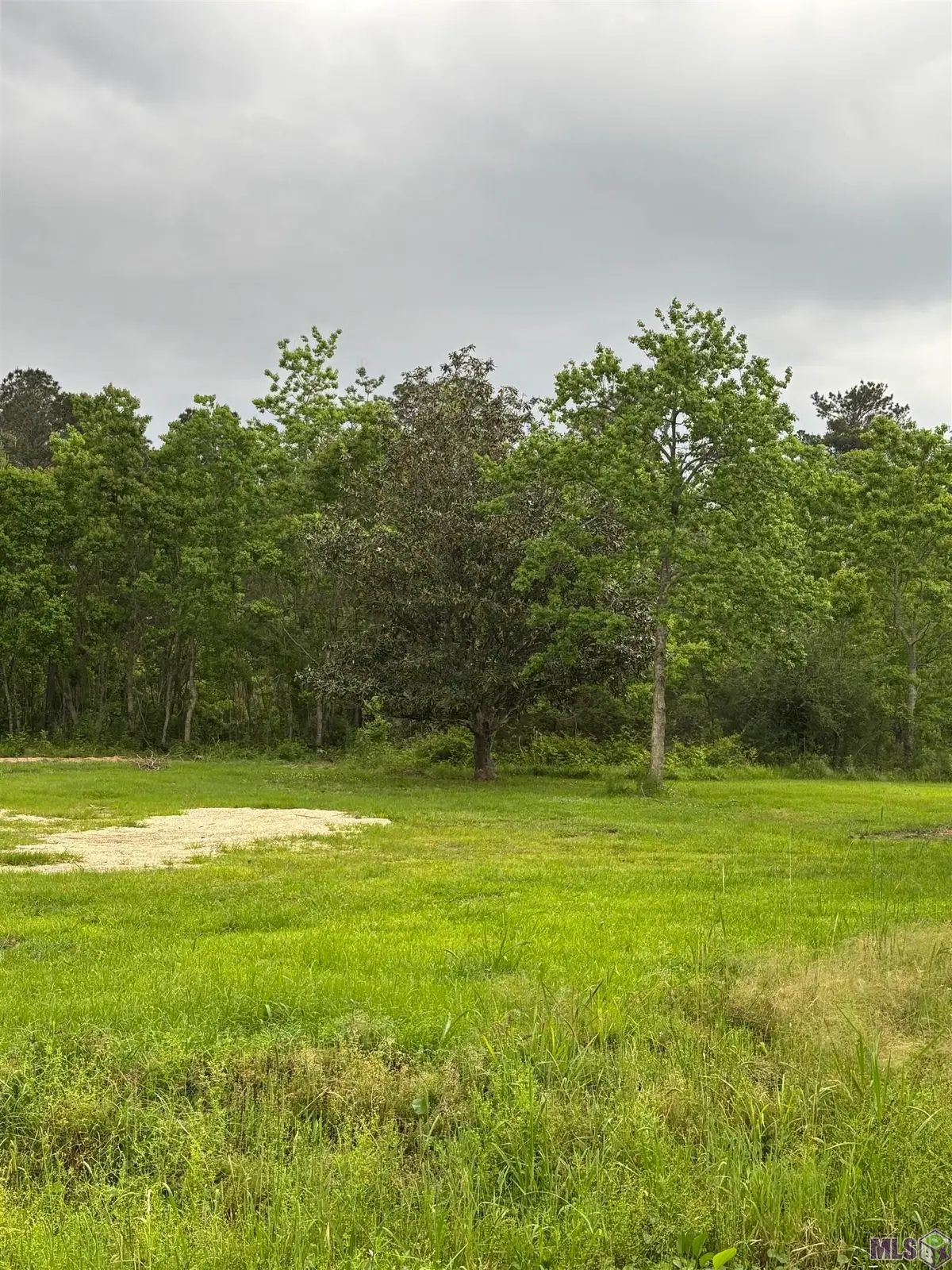 39930 Applewood Dr, Denham Springs, LA 70706 - #1