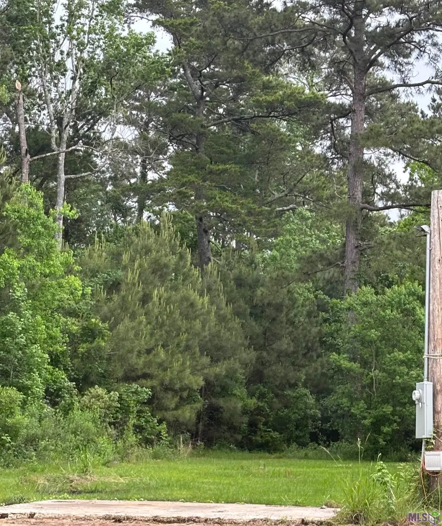 39930 Applewood Dr, Denham Springs, LA 70706 - #2