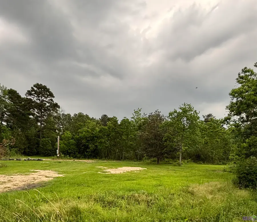 39930 Applewood Dr, Denham Springs, LA 70706 - #3