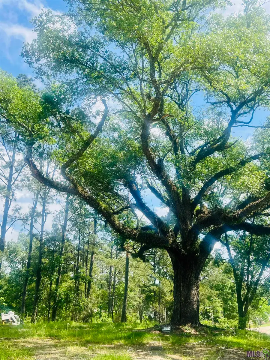 9756 Plank Rd, Clinton, LA 70722 - #3