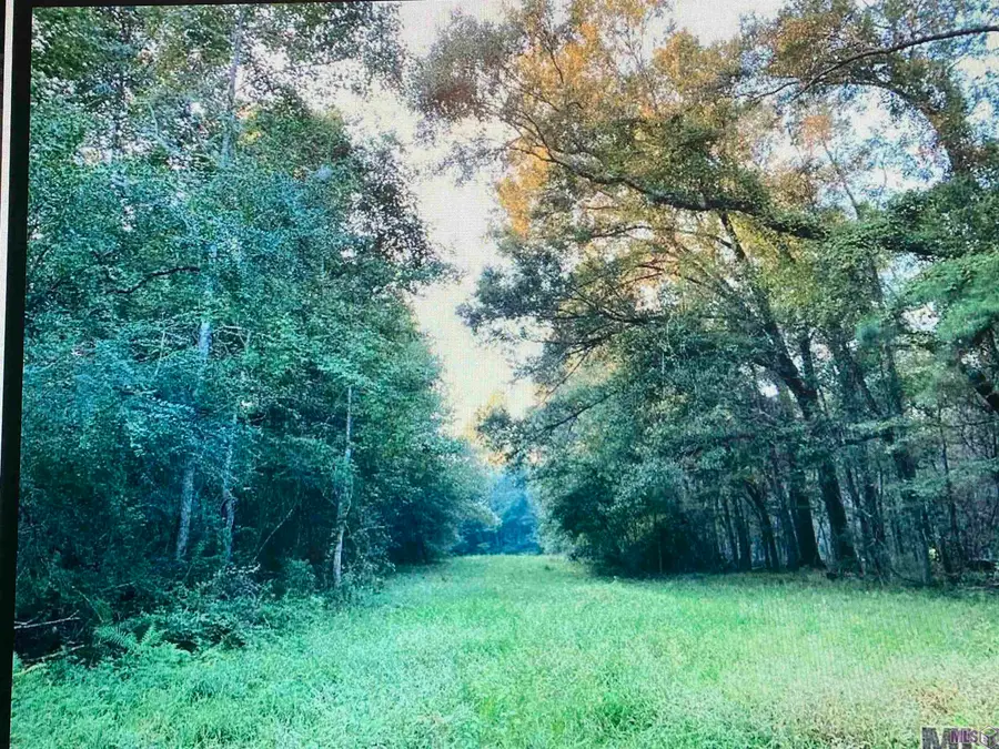 5901 Line Rd, Ethel, LA 70730 - #2