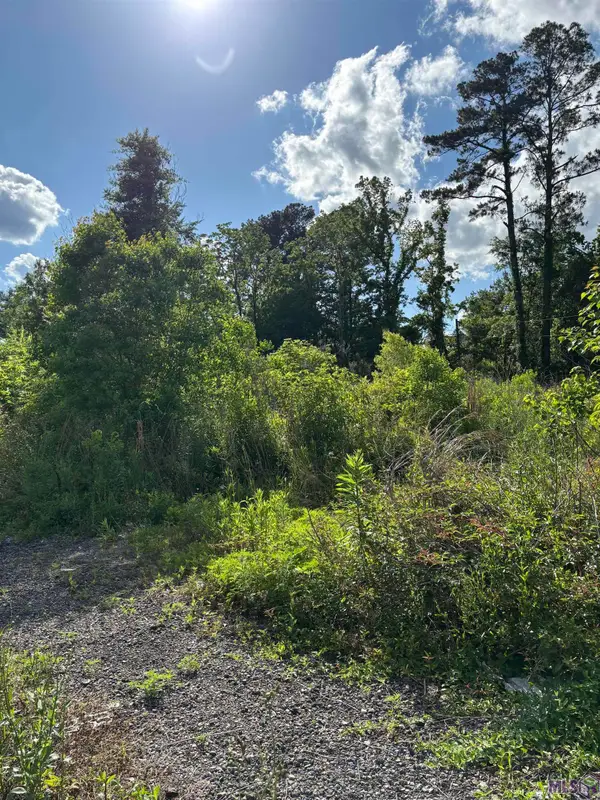 25739 Gill Rd, Denham Springs, LA 70726