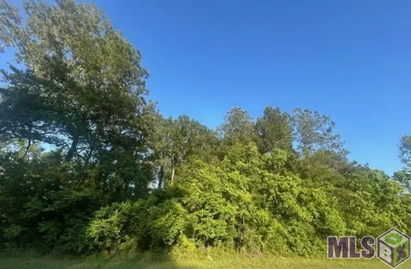 Lot B-4 Perrilloux Rd, Livingston, LA 70754