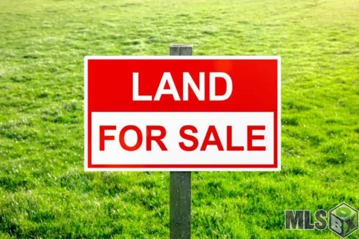 Lot B-4 Perrilloux Rd, Livingston, LA 70754 - #2