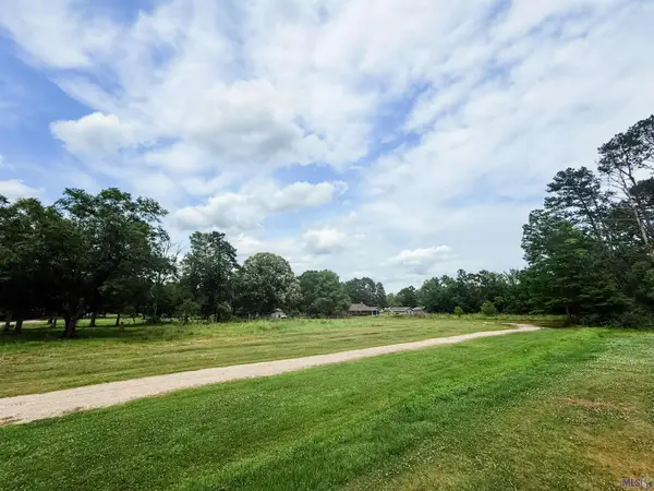 29378 S Anne Dr, Walker, LA 70785