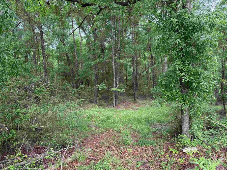 Hwy 438, Franklinton, LA 70438 - #2