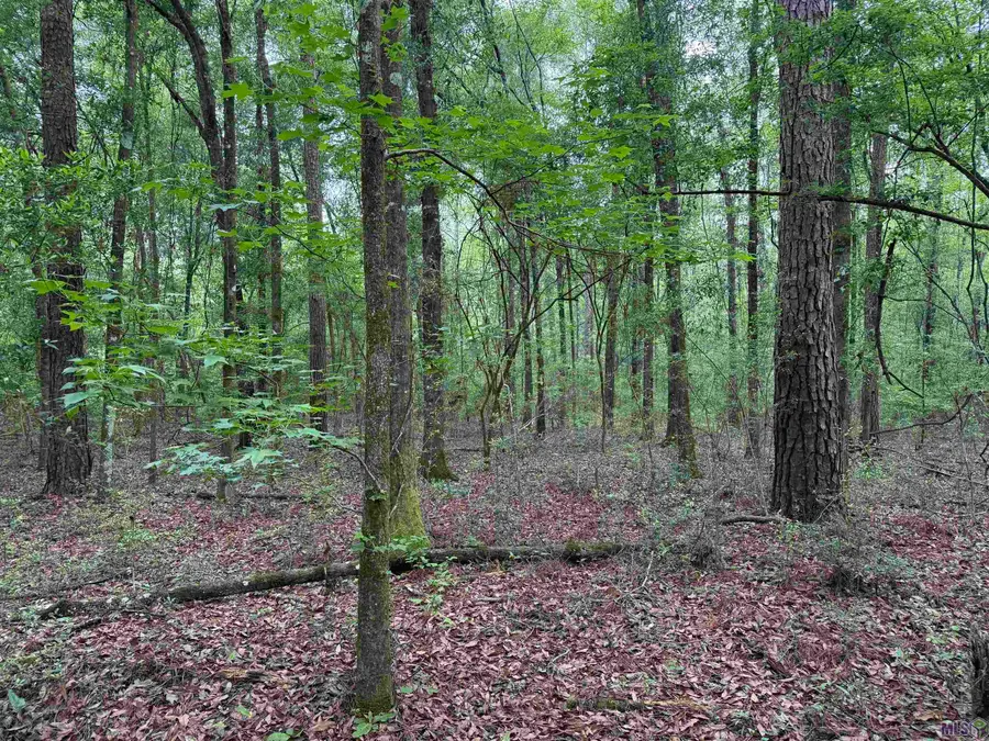 Hwy 438, Franklinton, LA 70438 - #3