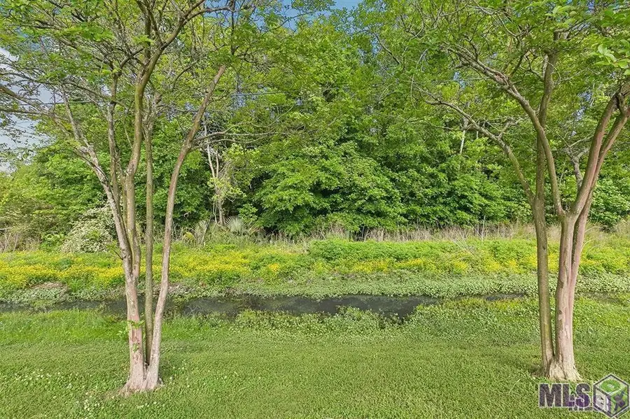 TBD Walker South Rd, Walker, LA 70785 - #2