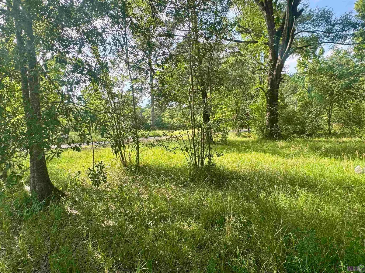 1306 Hazeloak Dr, Baker, LA 70714 - #1