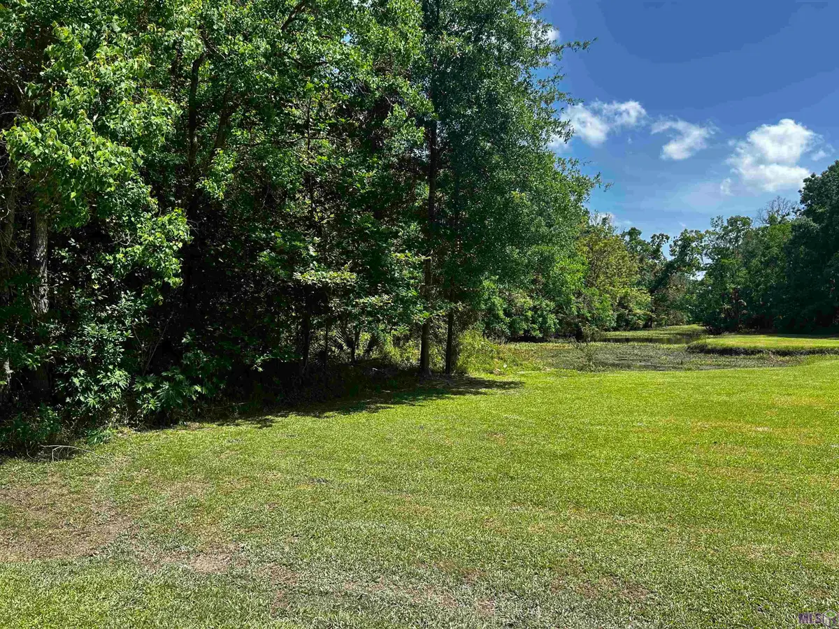 31 A 31 B Summerfield South Rd, Prairieville, LA 70769 - #1