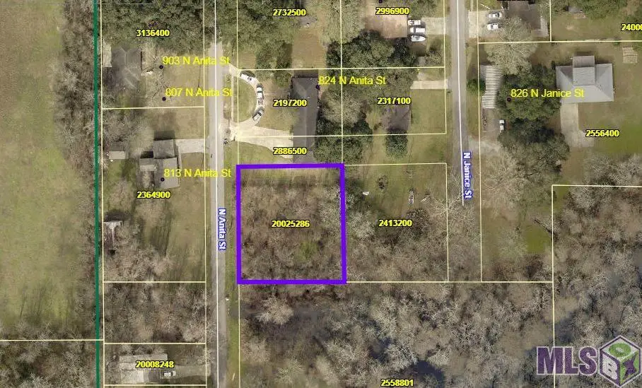 N Anita St, Gonzales, LA 70737 - #1