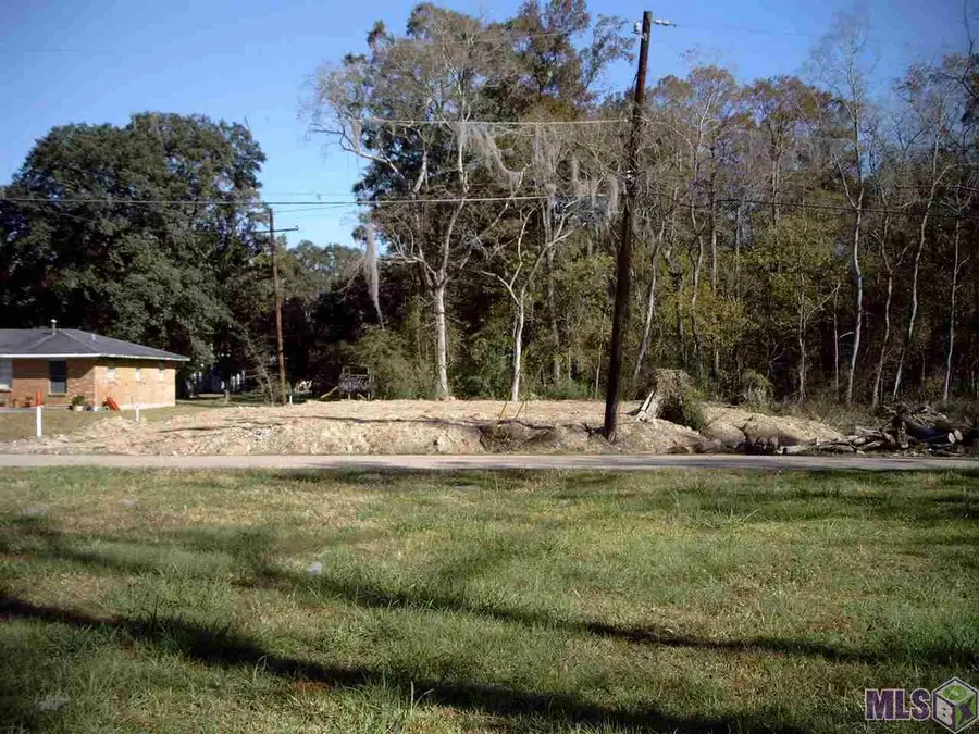 N Anita St, Gonzales, LA 70737 - #3