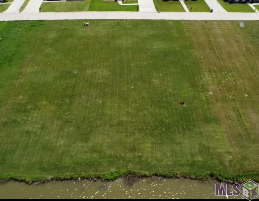 3429 E Bellevue Lakes St, Paulina, LA 70763 - #3