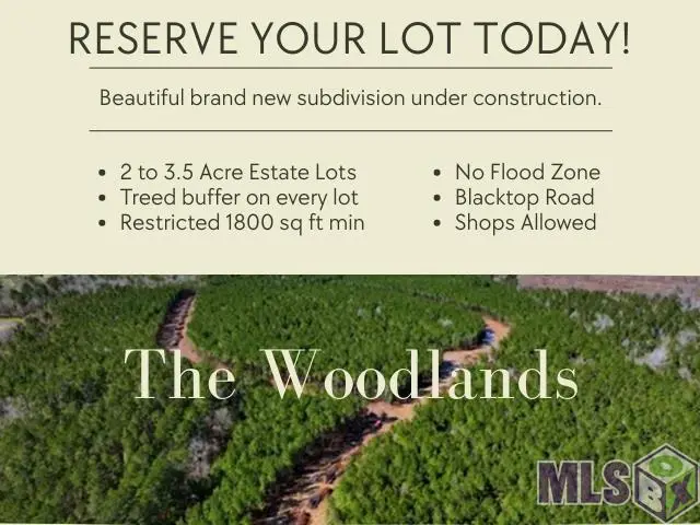 Lot 39 Copper Pass, Livingston, LA 70754 - #1