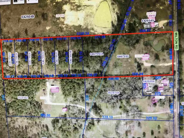 30393 Milton Rd, Walker, LA 70785