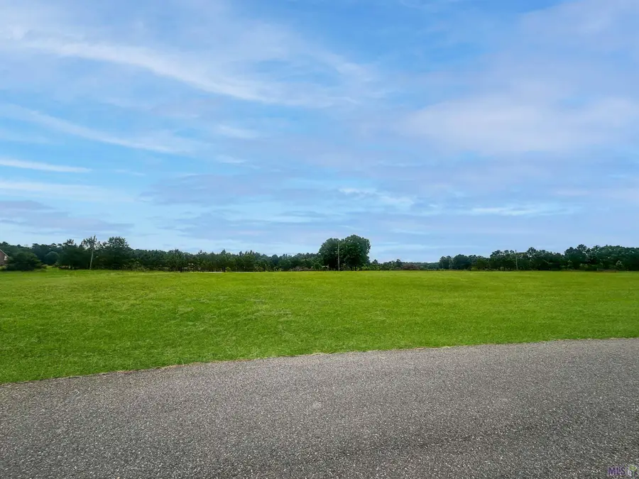 5-A-2-C-4 Uncle Sons Ln, Denham Springs, LA 70706 - #2