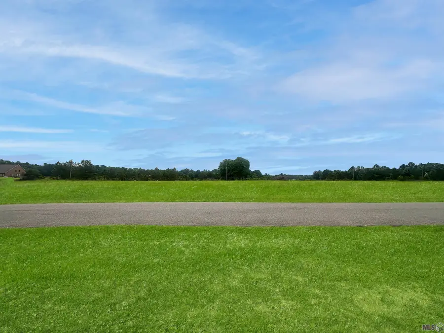 5-A-2-C-4 Uncle Sons Ln, Denham Springs, LA 70706 - #3