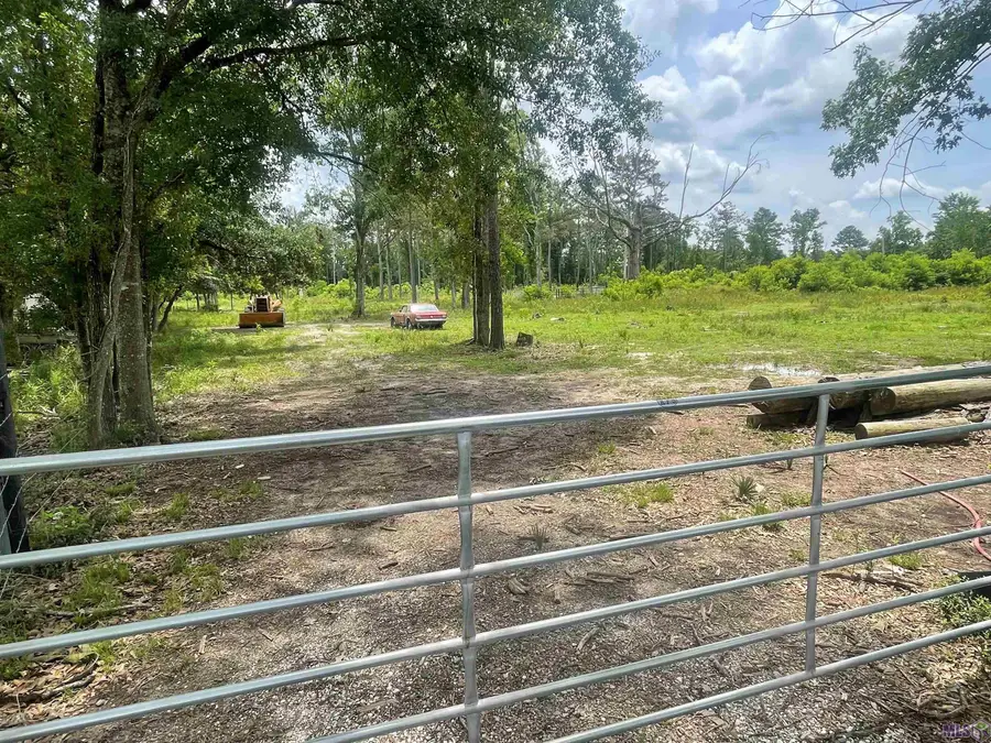 17068 La Hwy 933, Prairieville, LA 70769 - #2