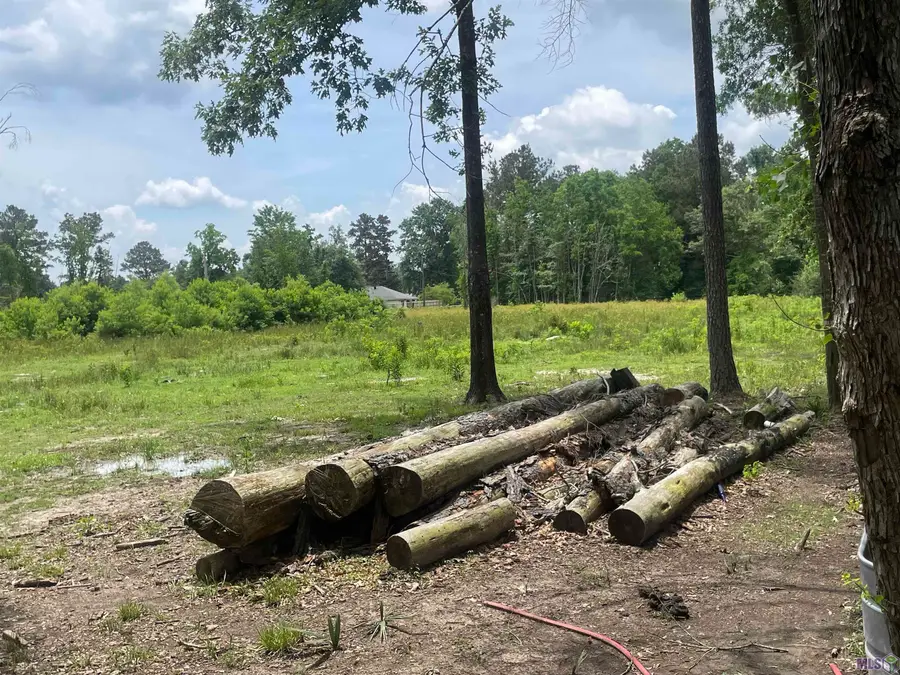 17068 La Hwy 933, Prairieville, LA 70769 - #3