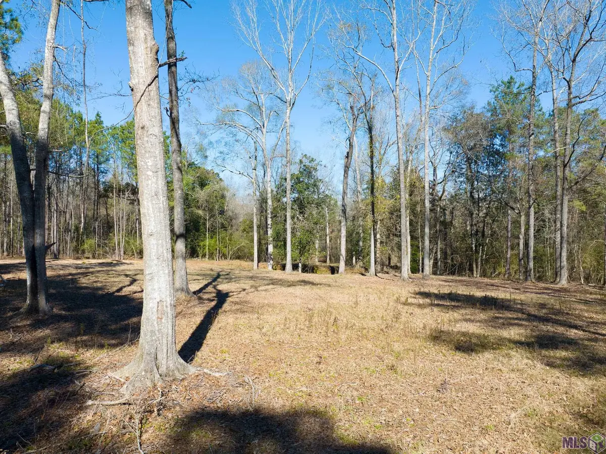 7312 Stirling Rd, Saint Francisville, LA 70775 - #1