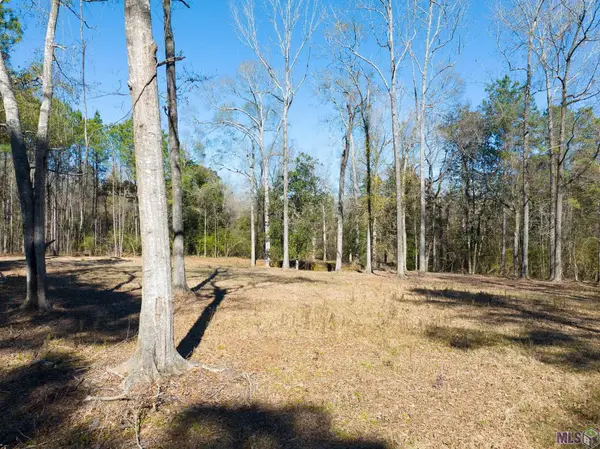 7312 Stirling Rd, St. Francisville, LA 70775