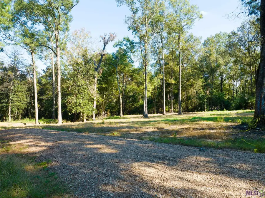 7312 Stirling Rd, Saint Francisville, LA 70775 - #2