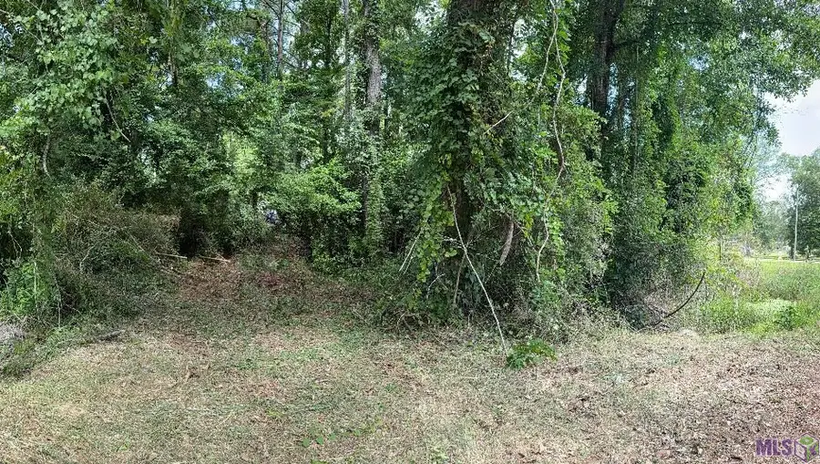 37031 Walker North Rd, Walker, LA 70785 - #2