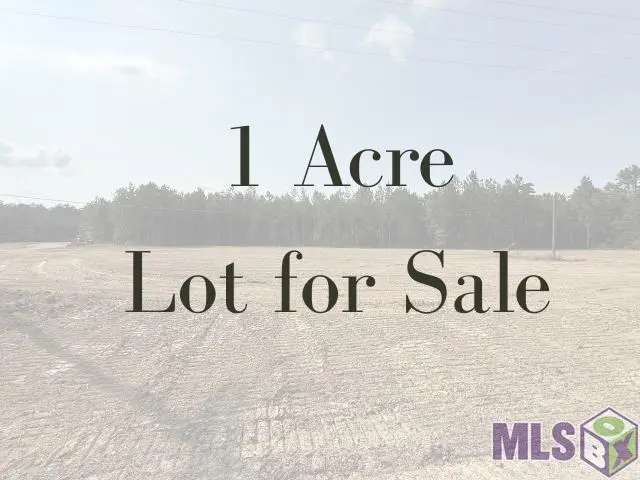 19103 La Hwy 444, Livingston, LA 70754 - #1