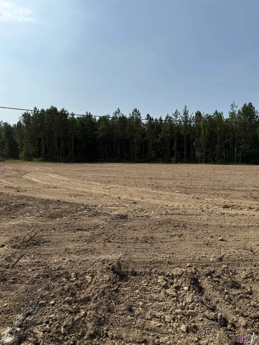 19103 La Hwy 444, Livingston, LA 70754 - #3