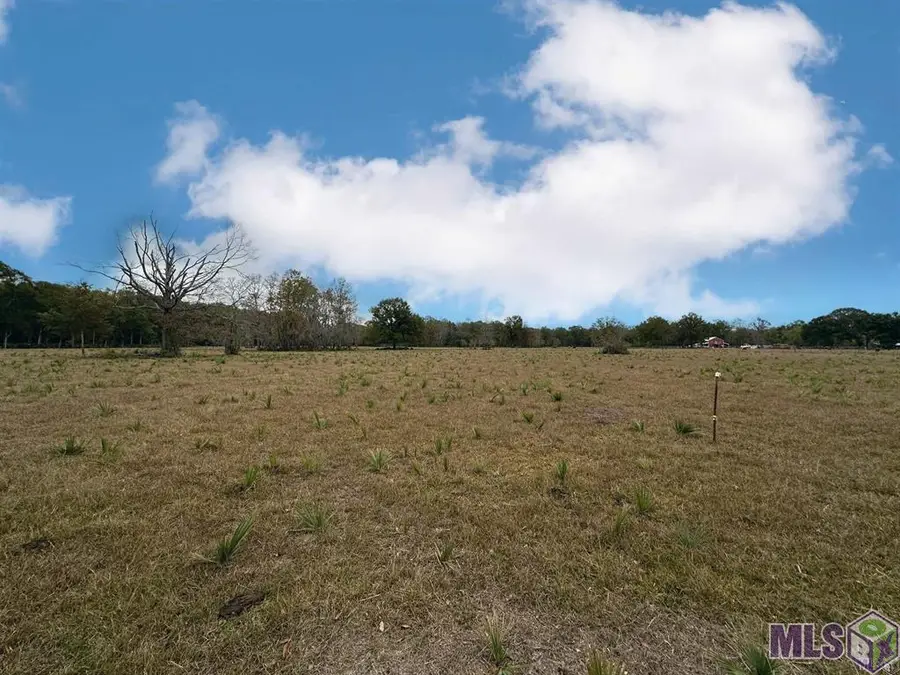 45538 Doc Ln, Saint Amant, LA 70774 - #3