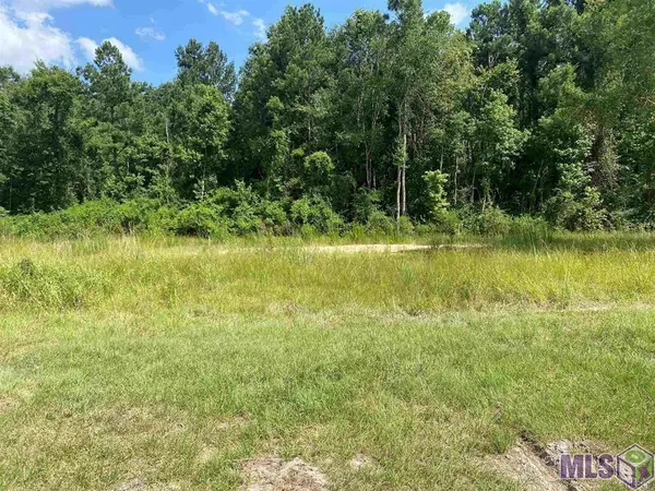 36658 La Hwy 16, Denham Springs, LA 70706