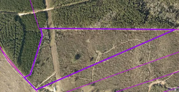 TBD-Tract 1 Gilead Rd, Clinton, LA 70722