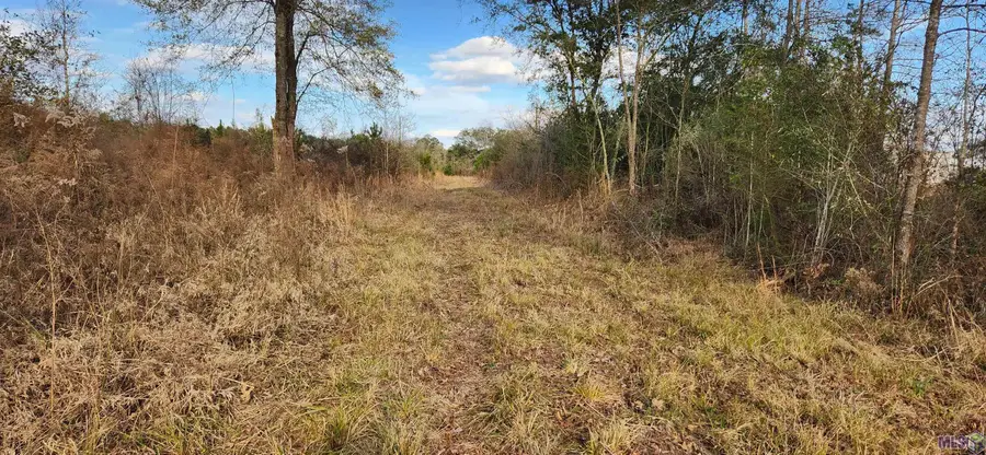 TBD-Tract 1 Gilead Rd, Clinton, LA 70722 - #2