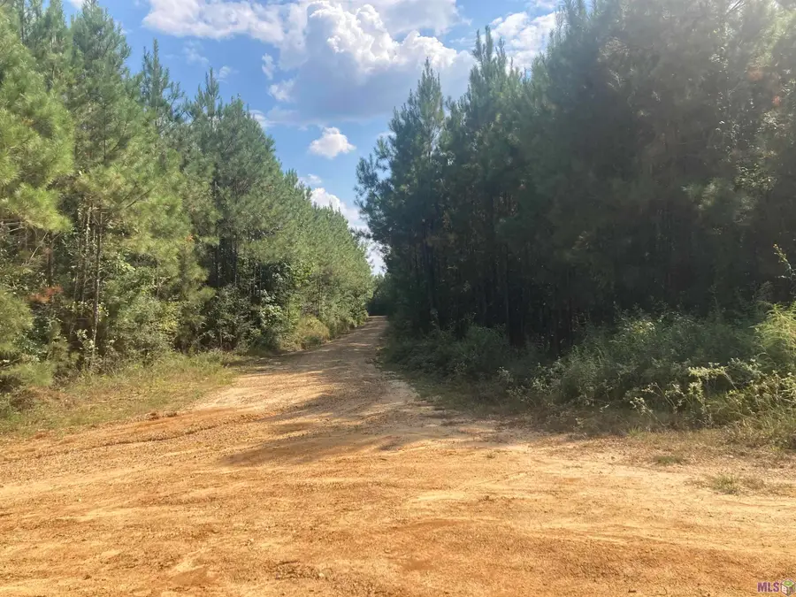 Tract A Old Jackson Ln, Jackson, LA 70748 - #3