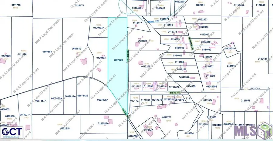 TMR-4-A-1-A Estate Rd, Livingston, LA 70754 - #2
