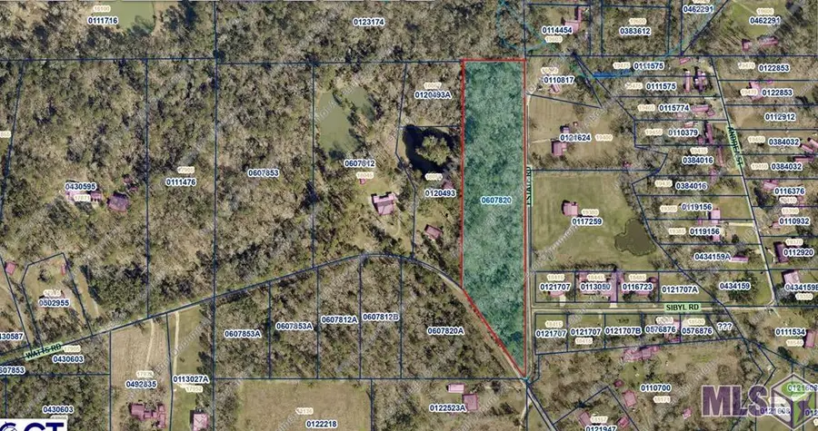 TMR-4-A-1-A Estate Rd, Livingston, LA 70754 - #3