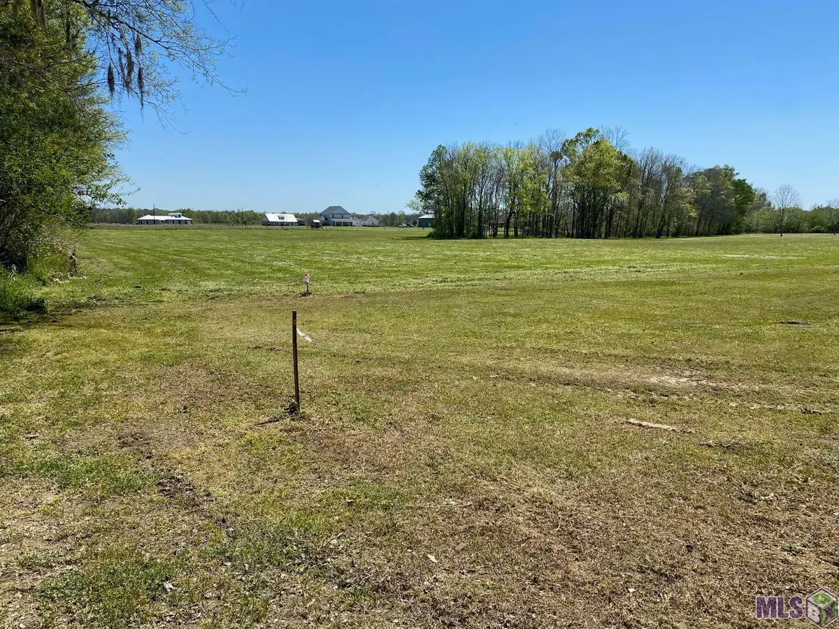 1096 Wilkinson Ln, Port Allen, LA 70767 - #1