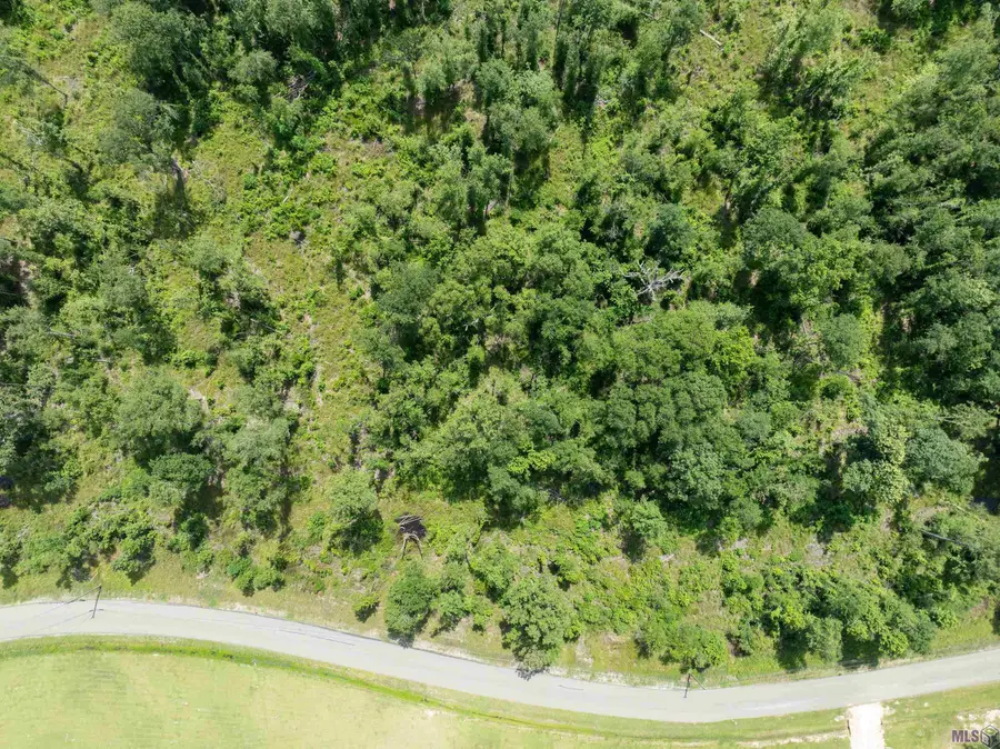 Lot 2-I Lost Oak Ln, Livingston, LA 70754 - #3