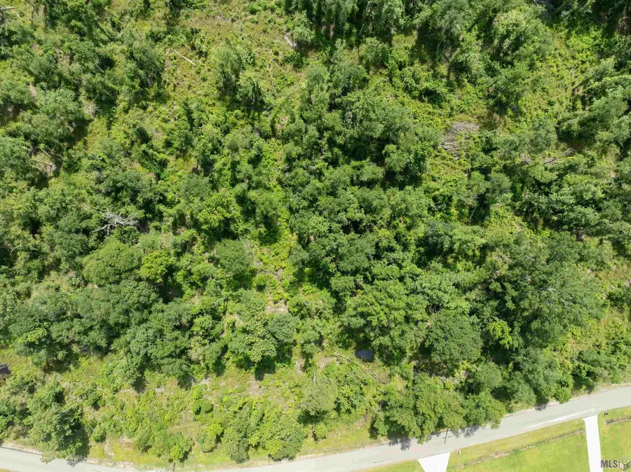 Lot 2-E Lost Oak Ln, Livingston, LA 70754 - #3