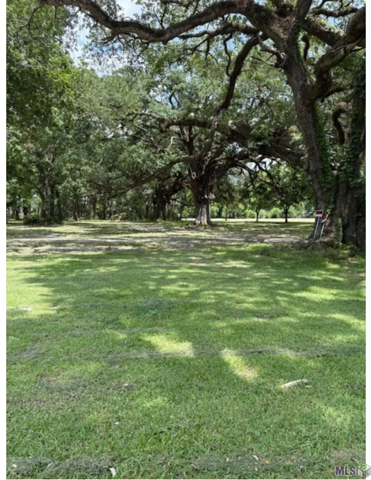 15040 La Hwy 73, Prairieville, LA 70769 - #1