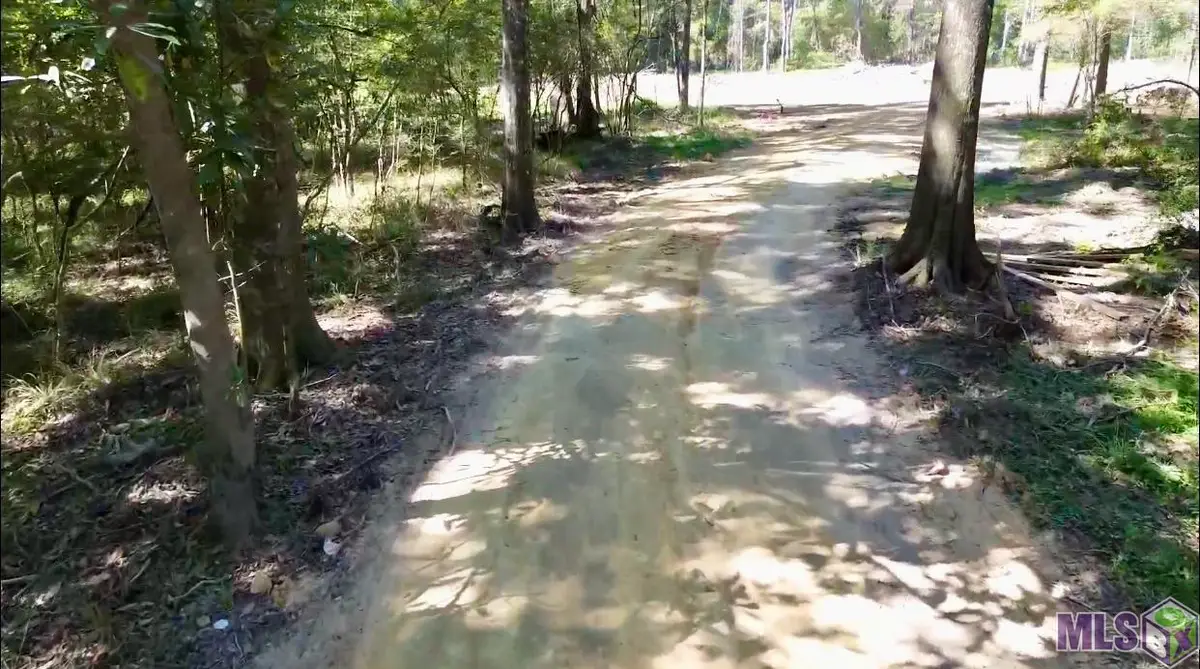 31425 Greenwell Springs Rd, Greenwell Springs, LA 70739 - #1