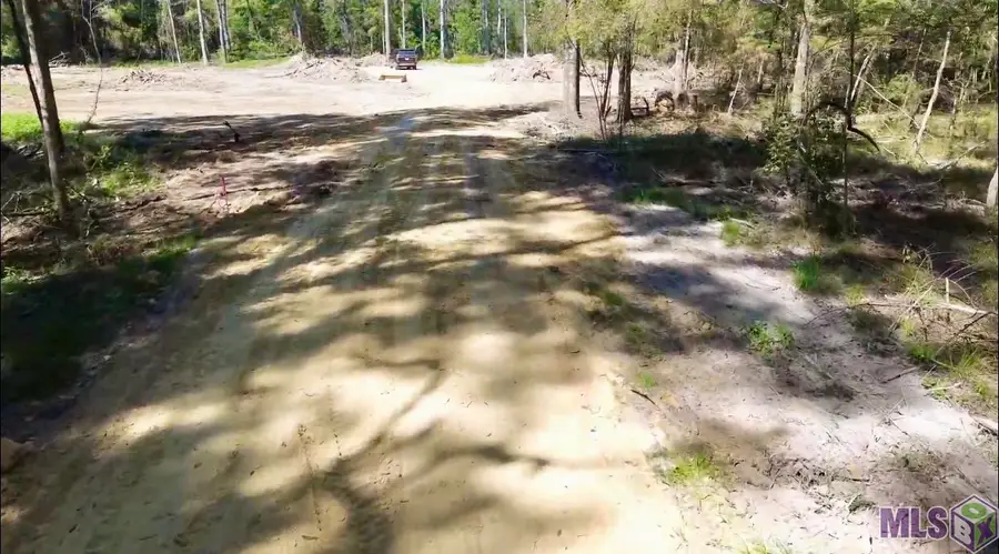 31425 Greenwell Springs Rd, Greenwell Springs, LA 70739 - #3