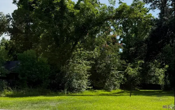 319 N Marchand Ave, Gonzales, LA 70737