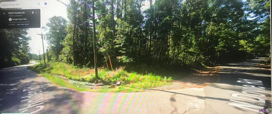 8-9 N Doyle Rd, Livingston, LA 70754 - #3